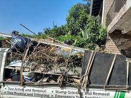 Best Attic Cleanout  in Victoria, MN